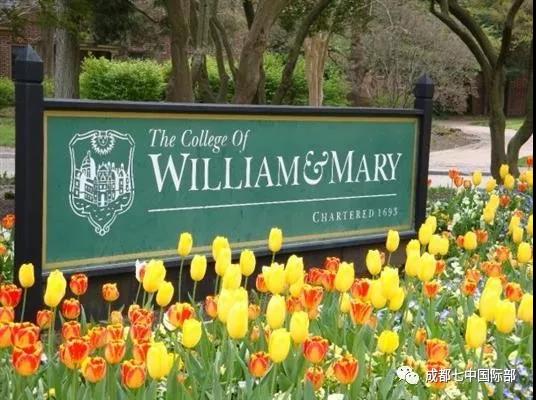 藤校offer驾到！恭喜我校学子收获达特茅斯学院，纽约大学和威廉玛丽学院录取！！！