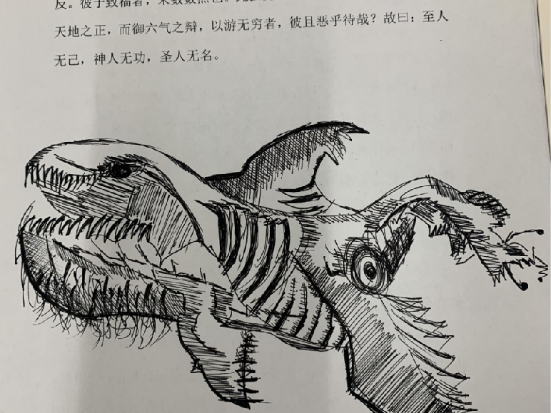 陈婕2
