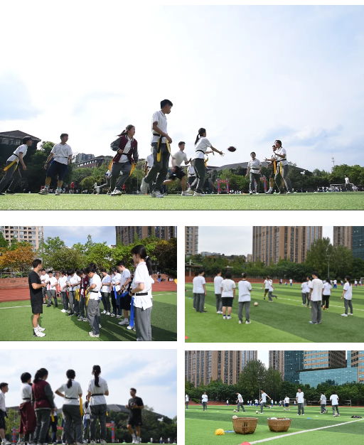 企业微信截图_20251111112323