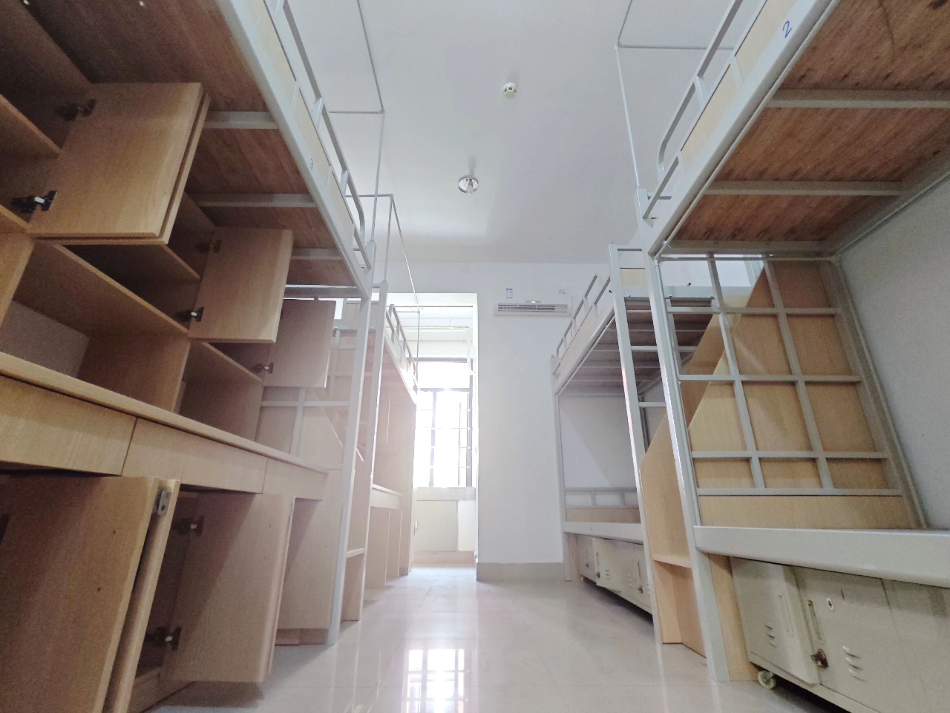 008b12d0-88a5-49f4-9000-95aa773d3c6b