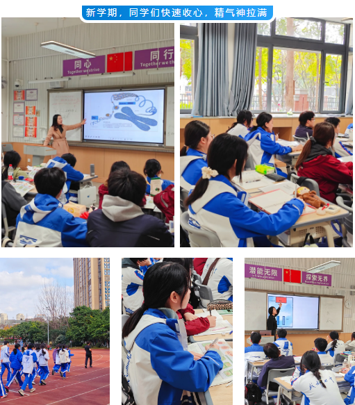 企业微信截图_20260306150354