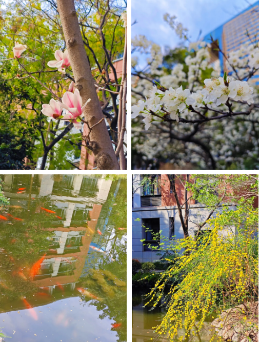 企业微信截图_20260306150250