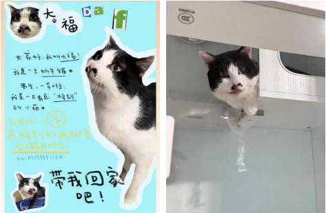 企业微信截图_20260410113142