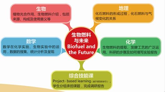 生物燃料与未来，国高学子探索能源领域新课题