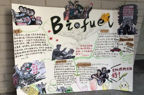 生物燃料与未来，国高学子探索能源领域新课题