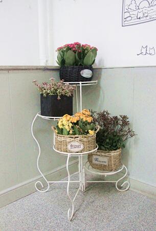 【教室美化】“没有美育就没有任何教育 ”，今天你发现美了吗？