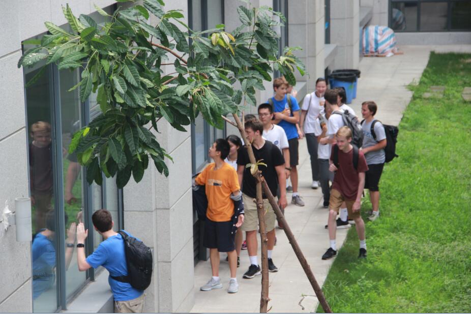 美国洛克赫斯特男校来访我校，体验国高校园生活，感受书法与川剧美丽